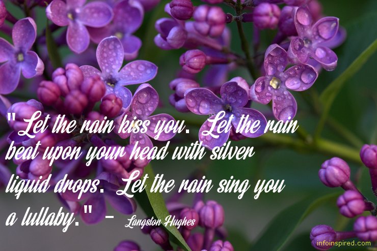 Rain Inspired Love Related Quotes By Different Authors