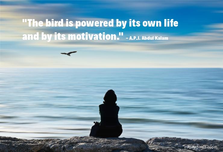 04 WhatsApp DP - THE BIRD IS POWERED BY ITS OWN LIFE AND BY ITS MOTIVATION