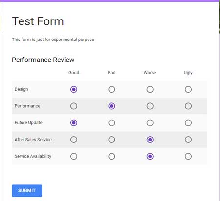 Preview of a multiple-choice grid in Google Forms