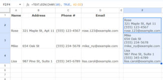 Multiple Columns Combined into a Single Cell with Multi-Line Formatting