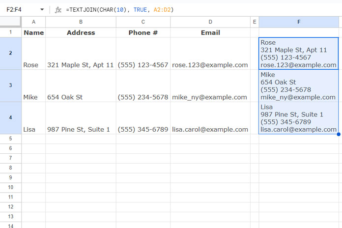 Multiple Columns Combined into a Single Cell with Multi-Line Formatting