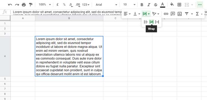 Long sample text in a cell