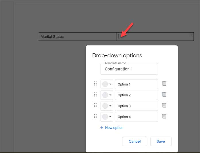 Inserting Custom Drop-Downs in Google Docs Documents