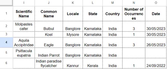 Filter If the Entire Row Is Blank: Output