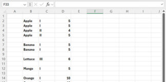 Inserting Blank Rows After Each Category