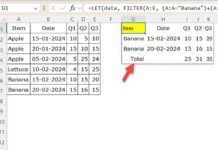 Example of a dynamic total row added to FILTER function results