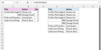 Duplicating Rows Based on Cell Values in a Column in Excel