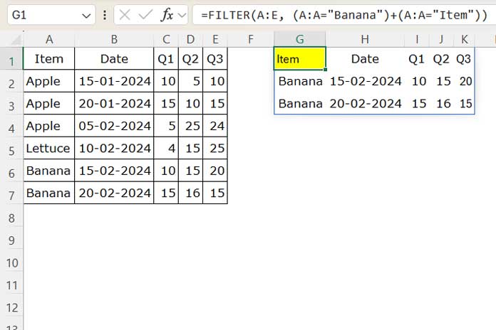 Sample data with FILTER function applied in Excel