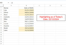 Sample Data and Highlighting of Upcoming Birthdays in 30 Days