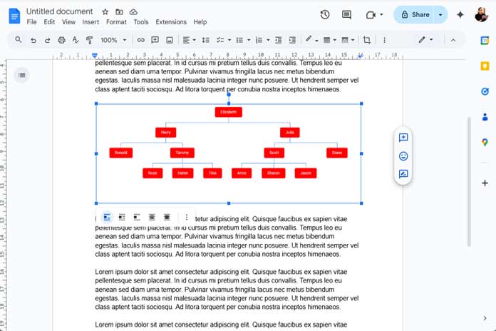 Sample Google Docs page with an organizational chart selected for landscape orientation