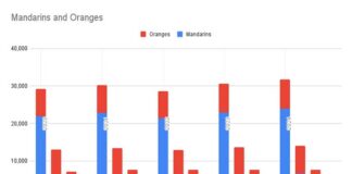 Clustered stacked column chart in Google Sheets comparing mandarin and orange production by country and year